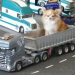 MTE2016 Photos de "La Paparazzi"