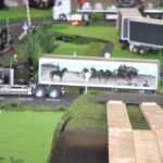 Photos de MTE2018 de Georges