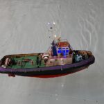 Le 21ème Festival de la Miniature