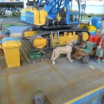 Images de MiniTrucksExpo 2023 par Takinou76_28