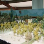 Réseau N Vallée du Rhône