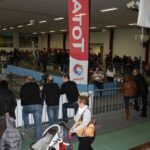 Mini Trucks Expo 2012